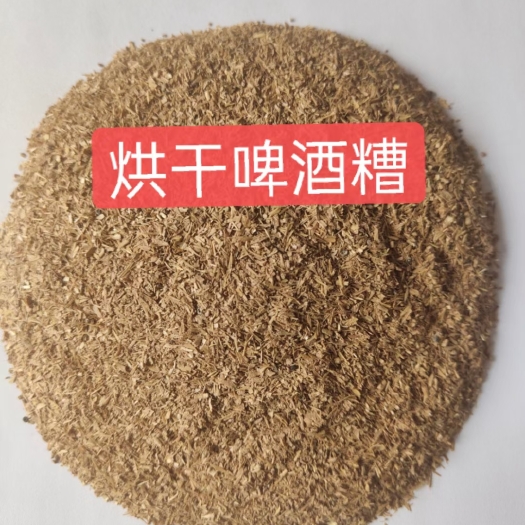 栾川县烘干啤酒糟