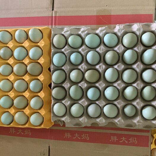沙洋县绿壳土鸡蛋