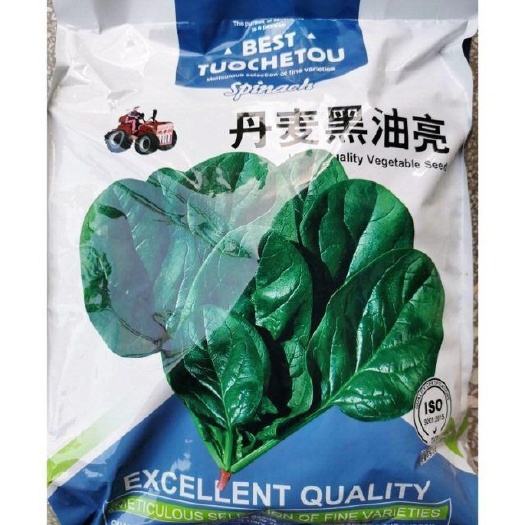 菠菜种子拖车头丹麦黑油亮菠菜种籽圆叶产耐热耐抽苔春秋四季播