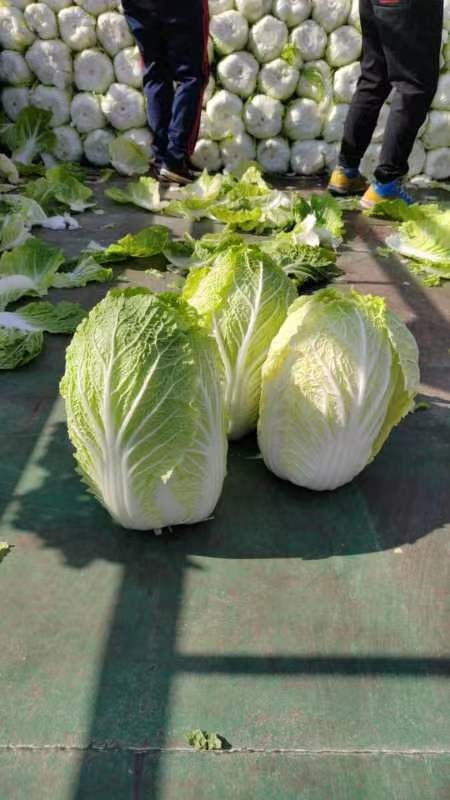 大安市装车中有想要的联系