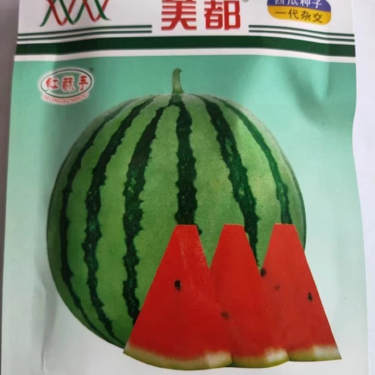 宿州美都嫁接西瓜苗     2K4K   甜王   小兰
