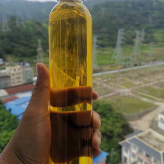隆林县山茶油