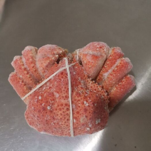 智利雪蟹400-600g整只大鳕蟹熟冻鳕蟹媲美帝王蟹皇后蟹长