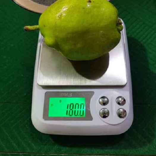 新疆库尔勒香梨