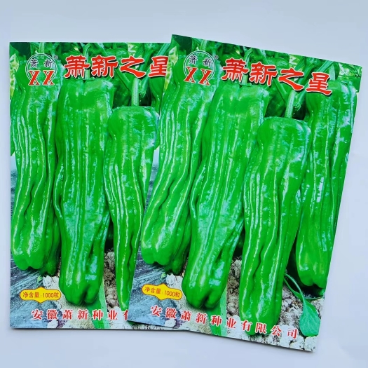 宿迁辣椒种子薄皮大椒种子大果型萧新薄皮辣椒种子早熟杂交辣味适中