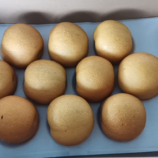 昆山市翠玉梨，翠冠梨，华山梨
