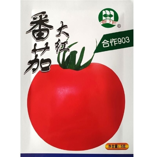 上海合作903大红番茄906种子918早熟产高春秋种大果粉红