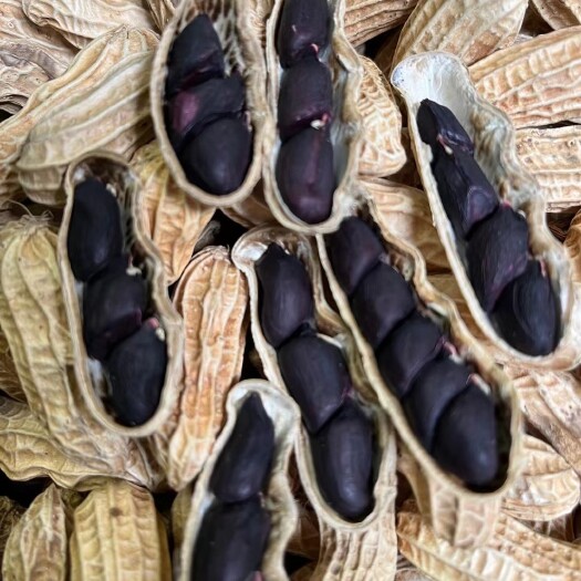 昆明黑花生  云南黑花生 产地直销  量大从优  常年有
