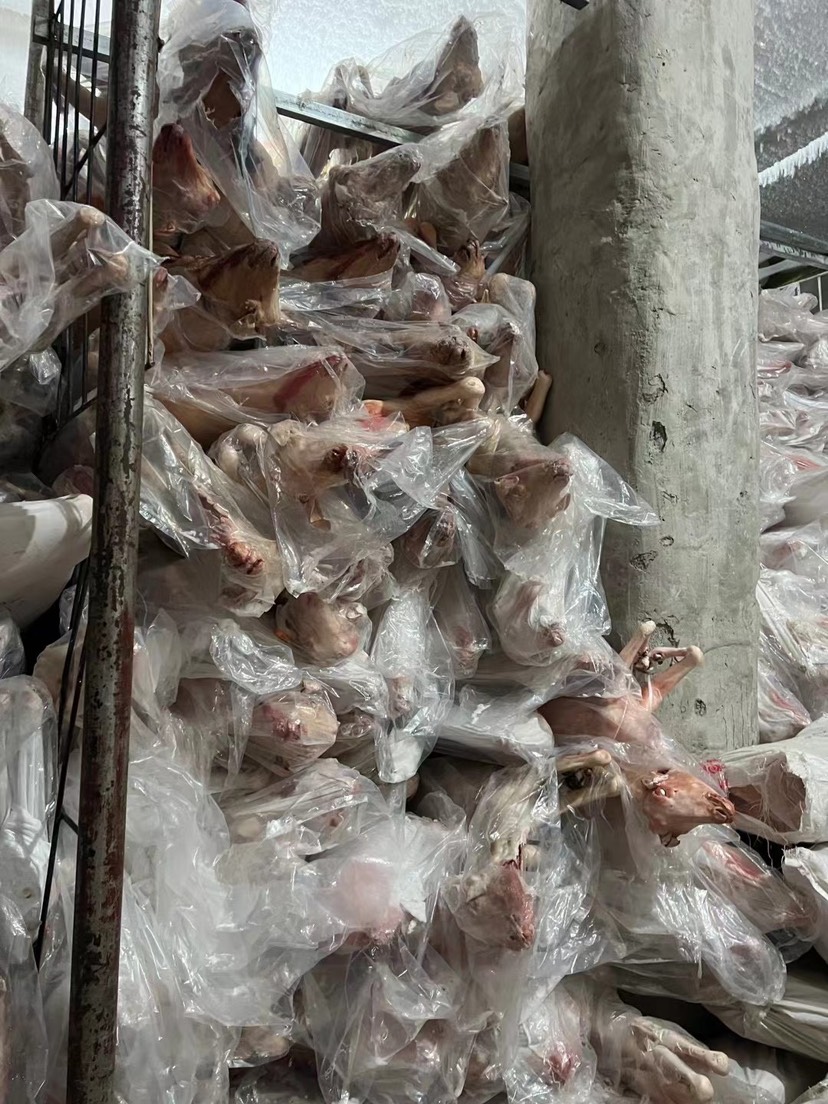 羊肉切块 供应食堂 批发 羊肉煲