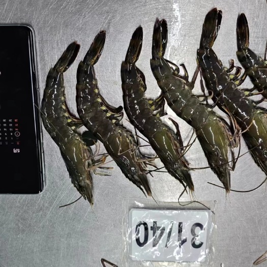 上海黑虎虾草虾泰国活冻可冰鲜液氮锁鲜大量促销