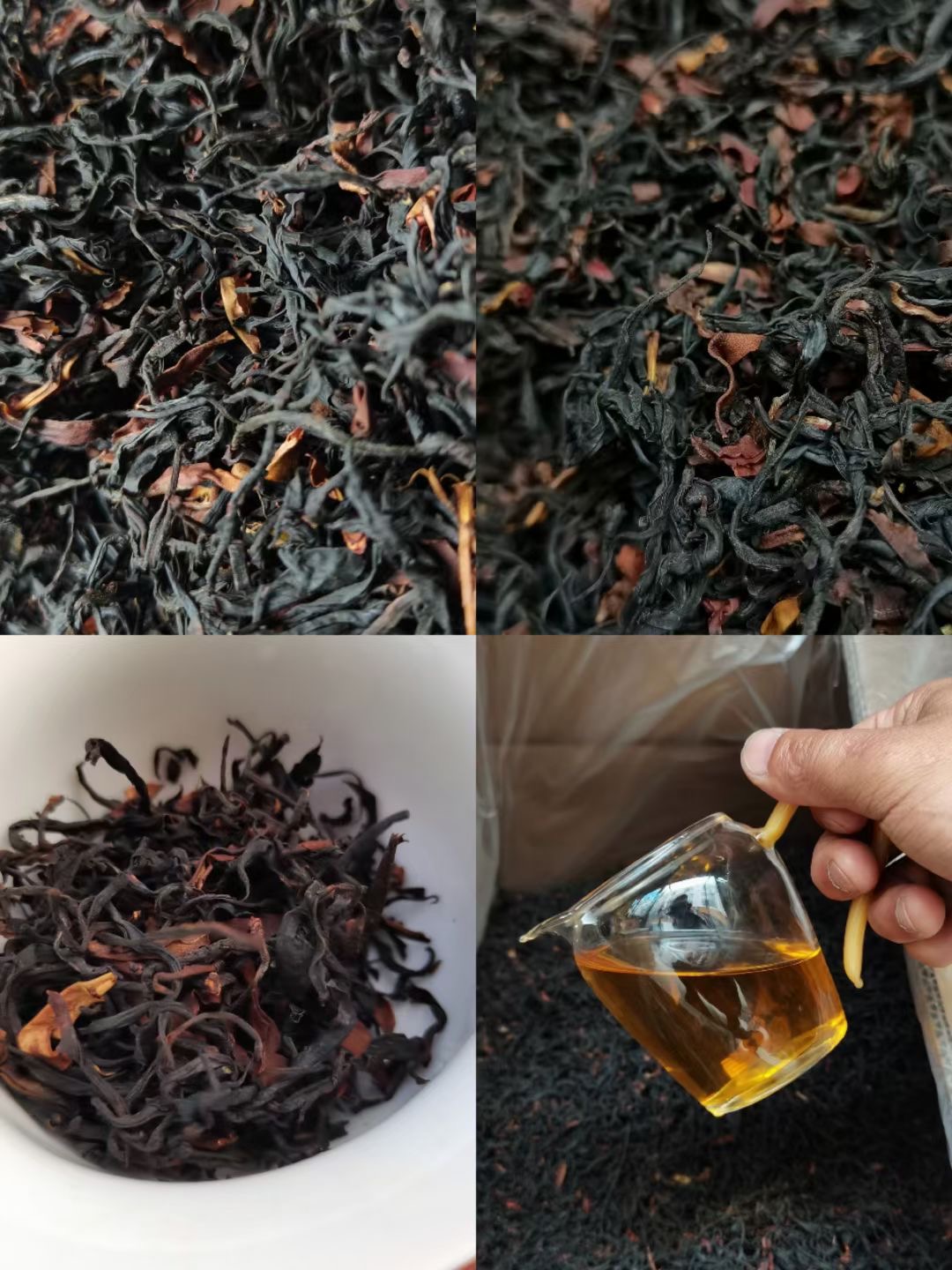 野生古树茶红千年古树晒红云南普洱茶野生茶勐海古树茶红茶