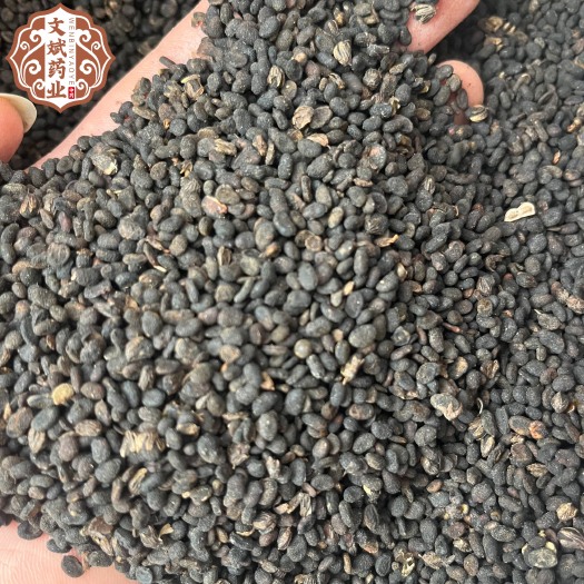 【文斌药业】补骨脂中药材 果实籽仁产地直发 菏泽鄄城供应
