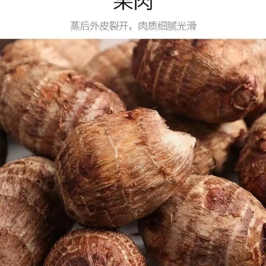 云南高山新鲜牛奶小芋头现挖现发