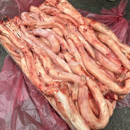 成都牛鞭