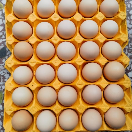 南阳我老家土鸡蛋