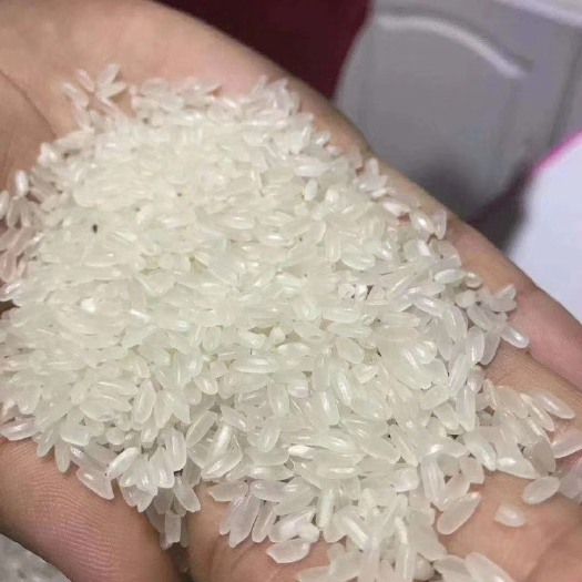 齐齐哈尔东北长粒米黑龙江大米