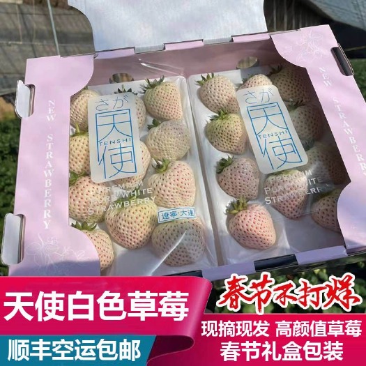 青岛淡雪天使白色草莓独立包装水果节日送礼领导客户送女朋友礼物礼品
