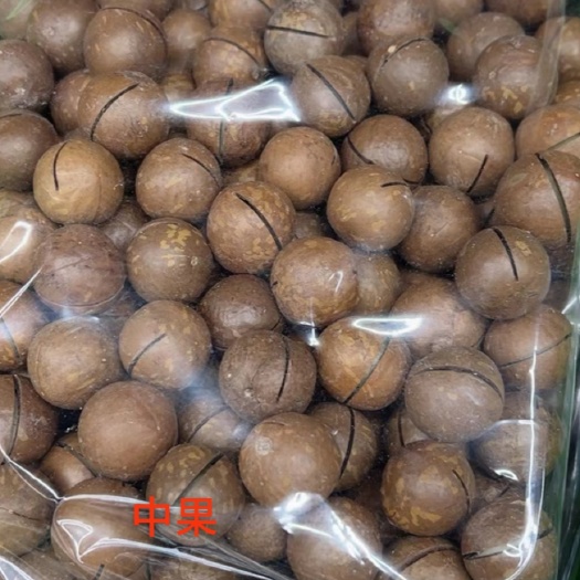 郑州新货薄壳，云南果奶香夏威夷果，皮薄果仁香脆货源充足