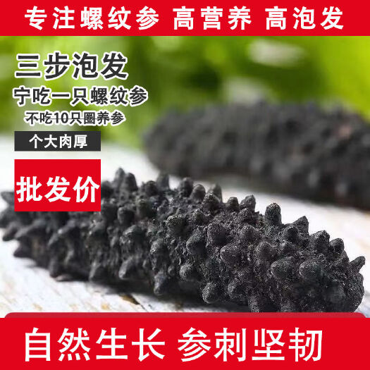 广州海参干足干厚肉螺纹参厚肉营养价值高口感好 性价比高 纹理好