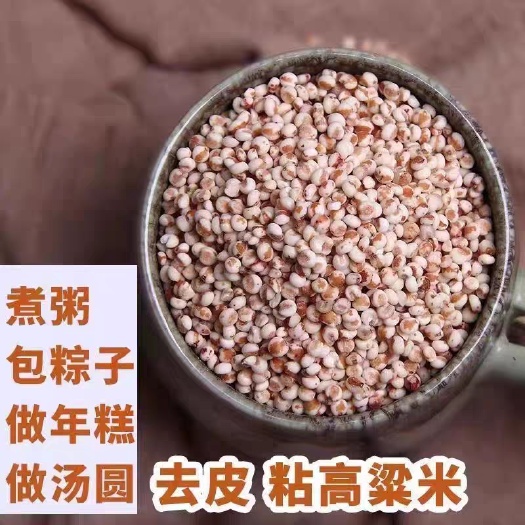 临沂粘高粱米 糯高粱米 东北 去皮高粱米 滋把