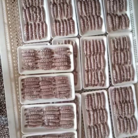 乳山市精品熟爬虾肉，整条无碎肉，200g/包，100包一箱