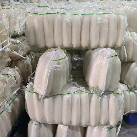 沙洋县白萝卜