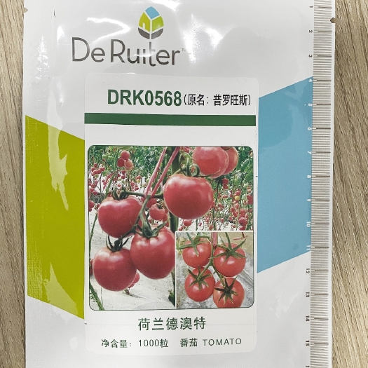 普罗旺斯西红柿苗沙瓤秧种籽妙秧四季水果粉果秧苗大番茄露天大棚