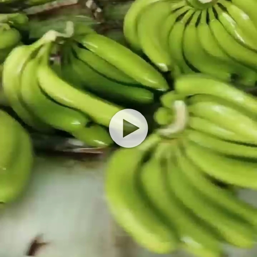 南宁广西精品香蕉大量上市，货源充足，质量保证，量大价优，欢迎咨询