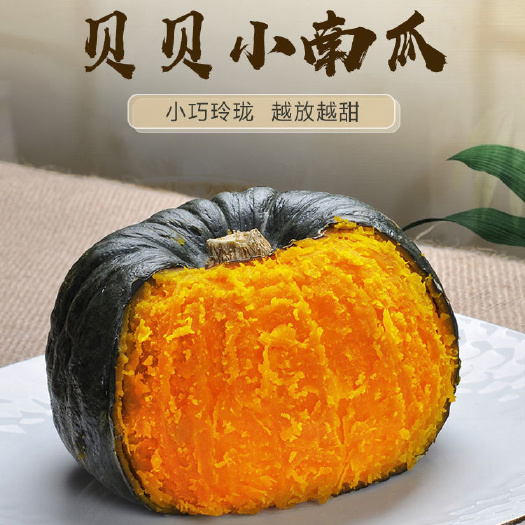 贝贝南瓜种子  日本坂田厂家直销，高抗病性，口感好，粉糯香甜