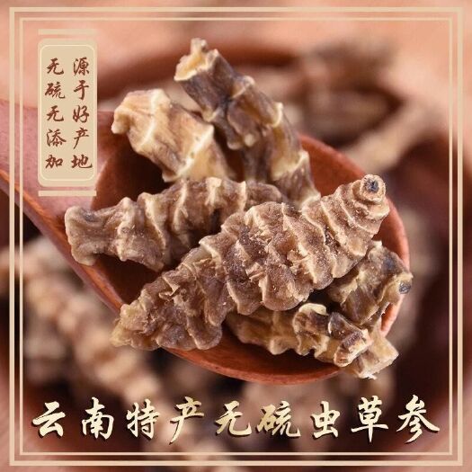 樟树市【包邮】顶天柱云南药材泡茶不老草回阳草起阳草炖汤泡酒地参