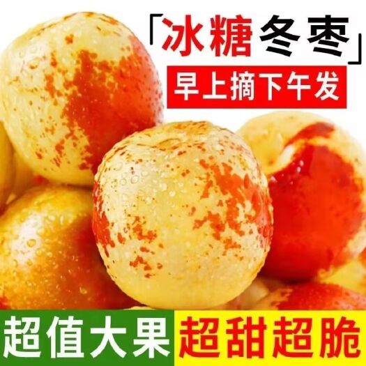 【5斤】陕西大荔冬枣新鲜甜脆水果批发枣子青枣冰糖冬枣