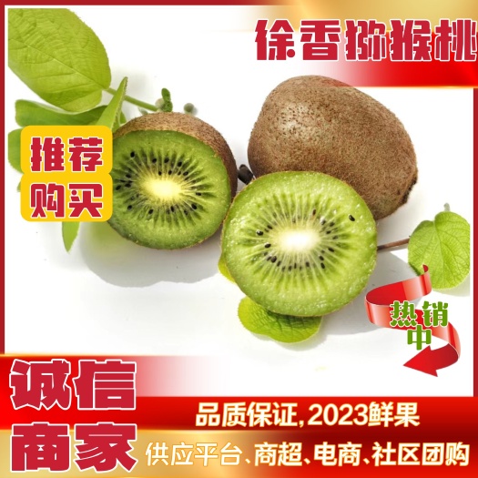 眉县【韵达包邮】徐香猕猴桃【一件代发】产地直发有量有价