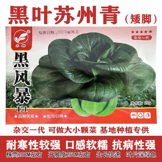沭阳县矮脚黑叶苏州青种子矮脚黑大头油亮青帮四季耐寒上海青菜种籽