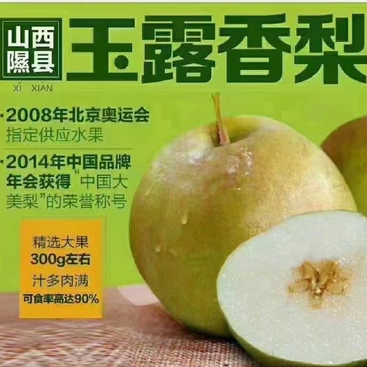 隰县玉露香梨