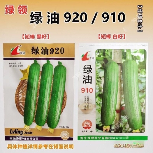 沭阳县绿领绿油920丝瓜种子 绿油910白籽丝瓜种籽 四季高产早熟