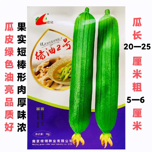 沭阳县丝瓜种子绿领油绿2号丝瓜种子中早熟瓜皮绿色油亮肉厚味浓丝瓜