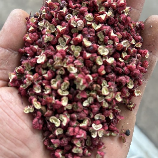 长沙大红袍花椒
