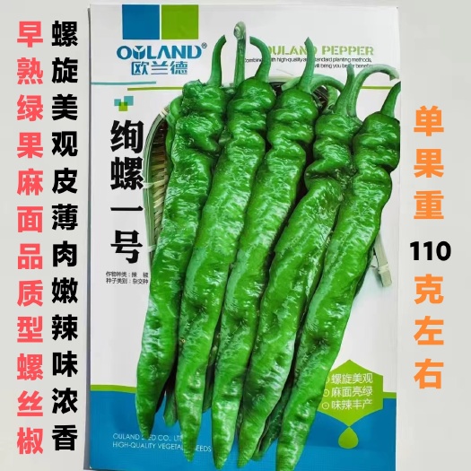沭阳县辣椒种子绚螺一号螺丝椒种子早熟螺旋果绿色皮薄肉嫩辣味香浓辣椒