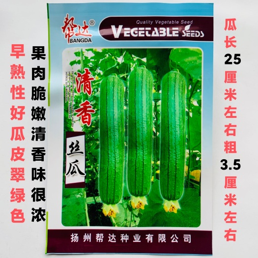 沭阳县丝瓜种子清香丝瓜种子杂交一代翠绿色早熟性好果肉脆嫩清香味浓
