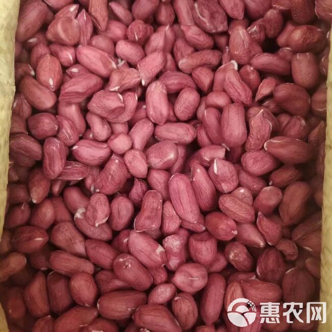 奶糖水果花生 农科院改良 精选原种子米 京东包邮5斤包邮