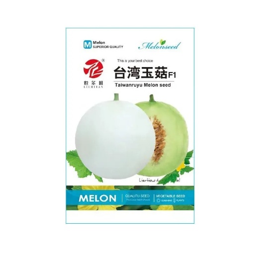 200粒 玉菇玉姑甜瓜种子 高档圆形洋香瓜种子 白皮透绿