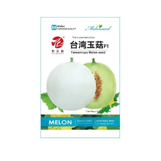 青县200粒 玉菇玉姑甜瓜种子 高档圆形洋香瓜种子 白皮透绿