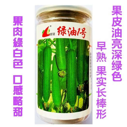 丝瓜种子 绿领绿油1号早熟果实长棒形果皮油亮深绿色皮薄纤维少