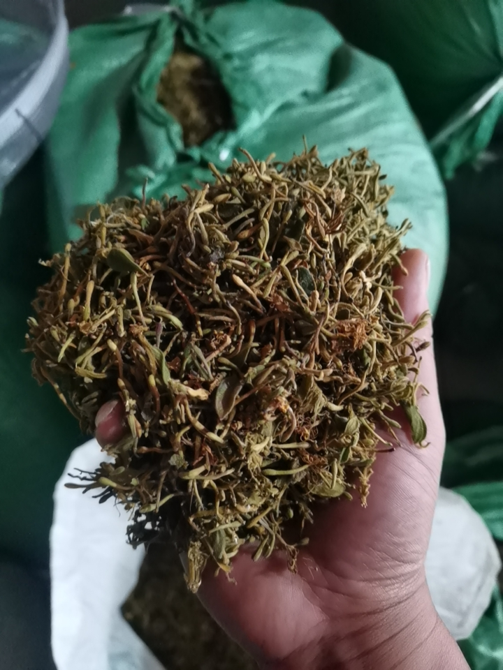 金银花统货药厂货