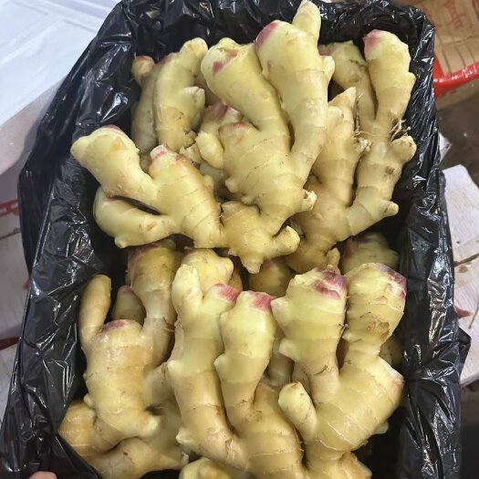 沂水县新姜上市了