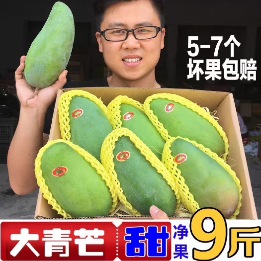 大青芒青皮芒果特大9斤新鲜大青忙凯特金煌芒整箱包邮水果孕妇