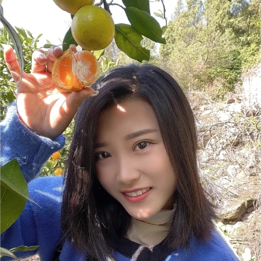 宜昌宜昌高山蜜橘产地一手货源质量保证货源充足欢迎各位老板前来选购