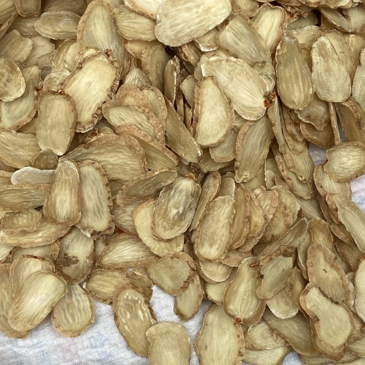 彝良县云南昭通彝良小草坝乌天麻中药材批发