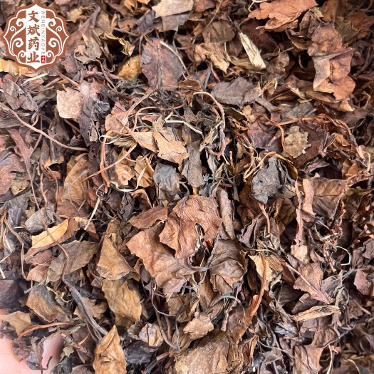 鄄城县【文斌药业】鹿晗草 鹿衔草 实图实拍 一公斤起批 欢迎新老客