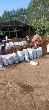 清远发酵牛粪广东发酵菌袋装散装牛粪疏松土壤有机肥养殖种植果树蔬菜